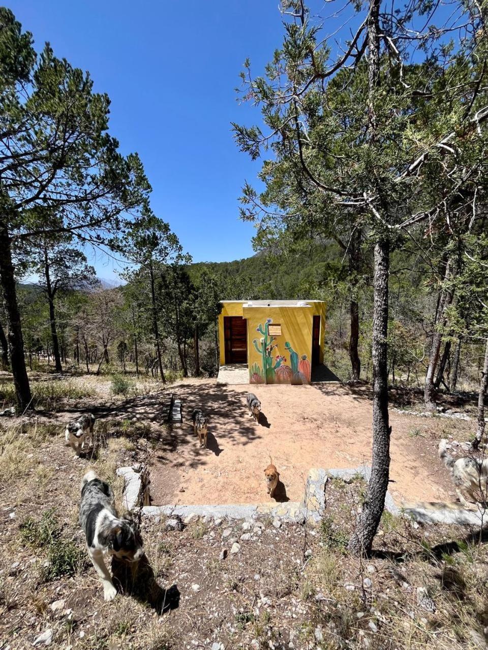 Camping En La Sierra De Arteaga Los Lirios Extérieur photo
